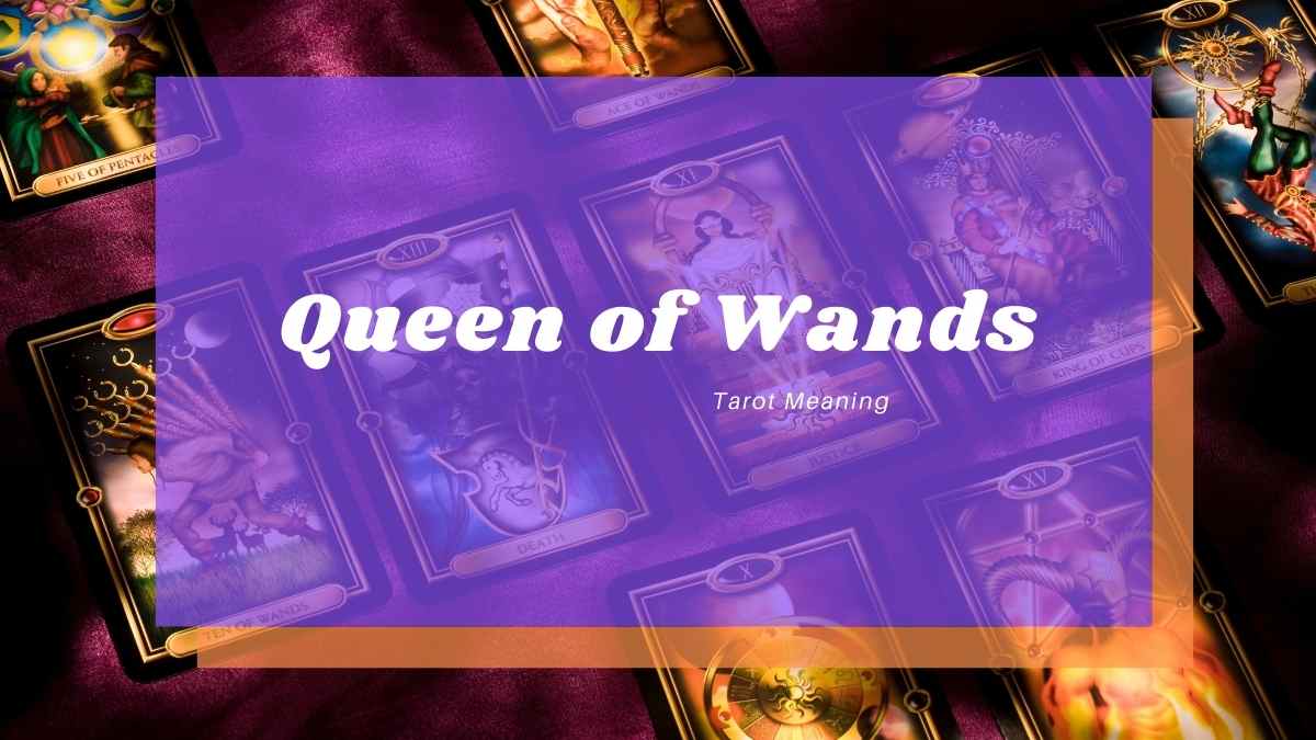 Queen of Wands Meaning