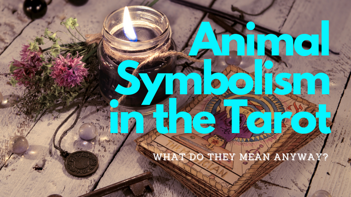 Animal Symbolism: What’s It All About